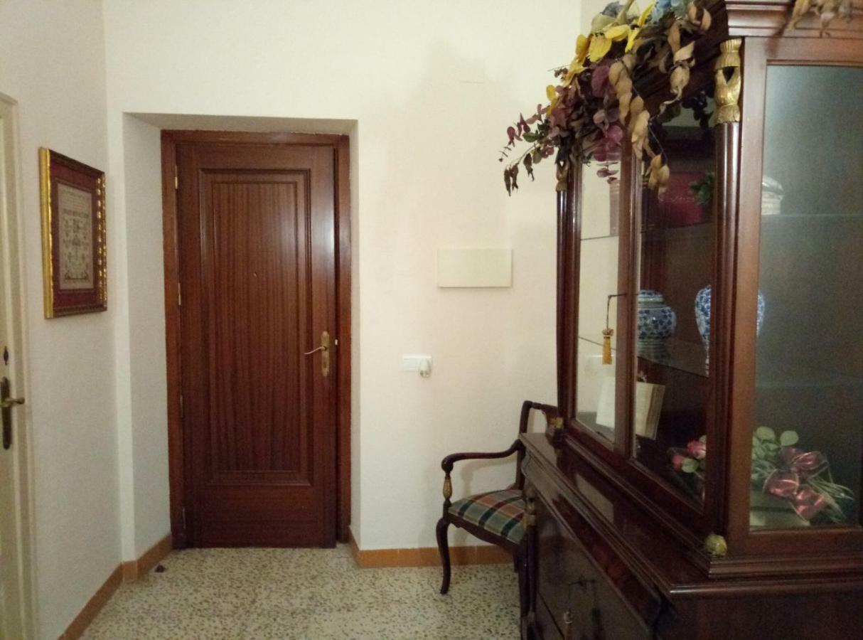 Alfacs Apartment Sant Carles De La Rapita Exterior photo